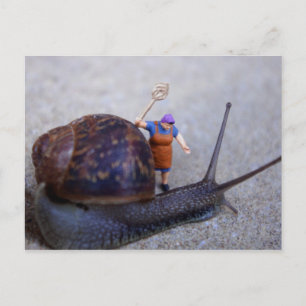 Pest Control Postcard