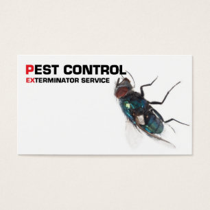 Pest control service