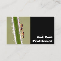 Pest exterminator for ants termites pest control