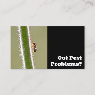 Pest exterminator for ants termites pest control business card
