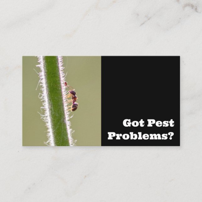 Pest exterminator for ants termites pest control business card (Front)