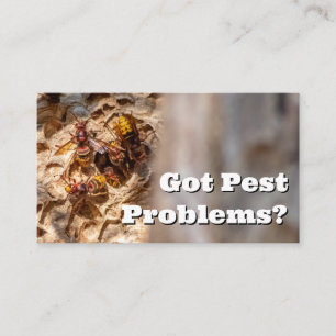 Pest exterminator for hornets wasps pest control business card