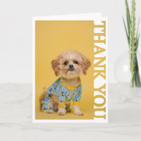 pet adoption vet Photo Frame Thank You
