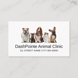 Pet Animal Clinic  Shelter Veterinary Business Car Business Card