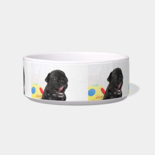 Pet apple French Bulldogge Bowl