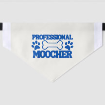 Pet Bandanna - Professional Moocher - Large