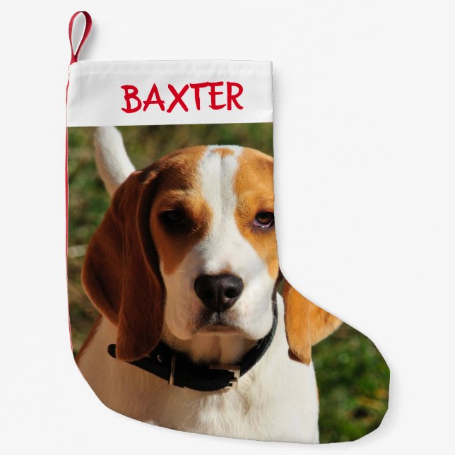 Pet Beagle Dog Photo Personalised  Small Christmas Stocking (Front)