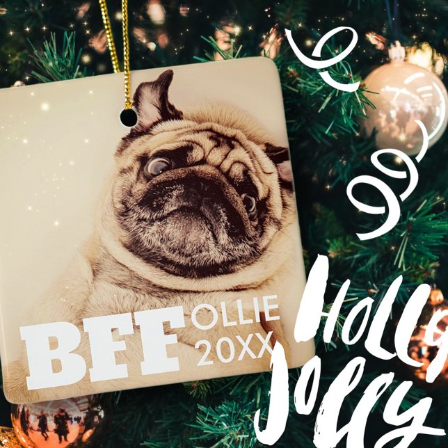 Pet Best Friends Forever Simple Modern Photo Ceramic Ornament (Creator Uploaded)