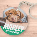 Pet BFF Best friend Photo Modern Cool Simple Key Ring<br><div class="desc">Design is simple with a simple colour background and sans serif typography for a superhero look.</div>