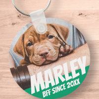 Pet BFF Best friend Photo Modern Cool Simple