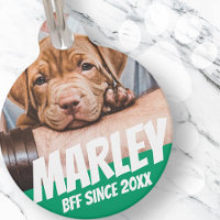 Pet BFF Best friend Photo Modern Cool Simple