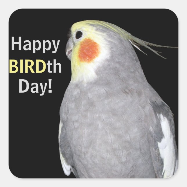 Pet Bird Cockatiel Photo Happy BIRDth Day Birthday Square Sticker (Front)