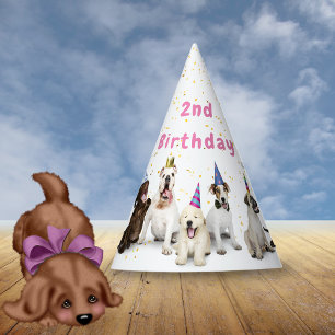 Pet Birthday Dog Party   Pink Party Hat