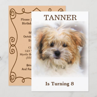 Pet Birthday Party Invitation