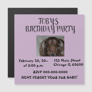 Pet Birthday Party Photo Celebration Invite