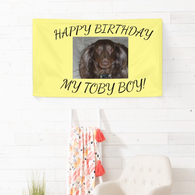 Pet Birthday Yellow Curved Photo Design Banner (Insitu)