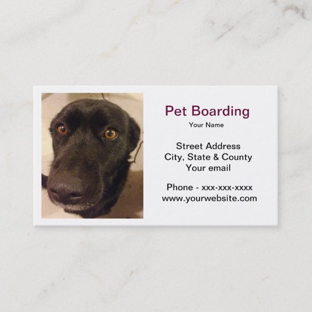 Pet Boarding Business Card (Front)
