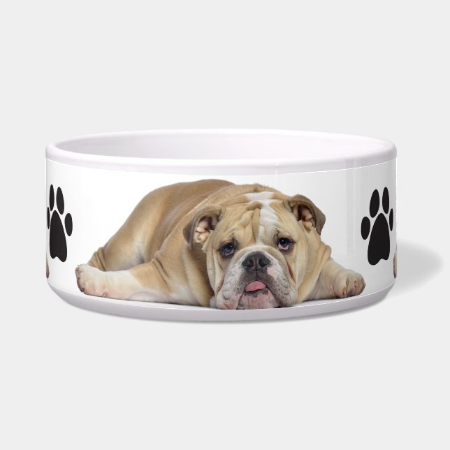 Pet Bowl/Bull Dog (Front)