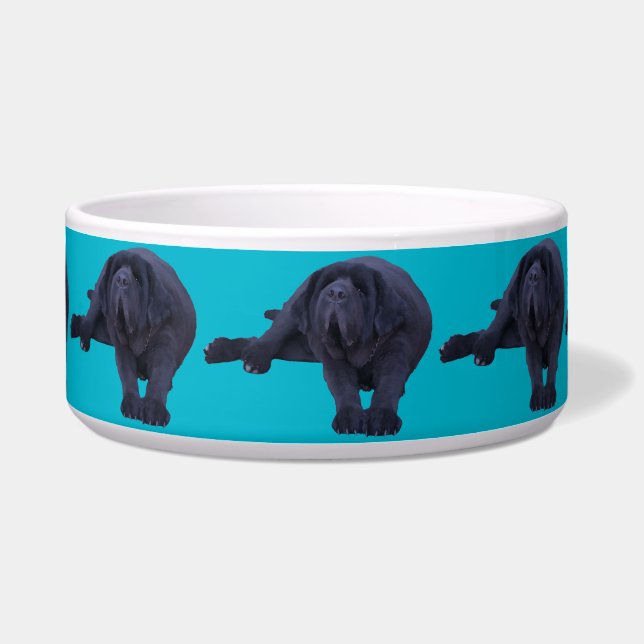 Pet Bowl for any Larger Dog Breed (Front)