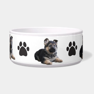 Pet Bowl/German Shepard