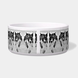 Pet Bowl-  Large