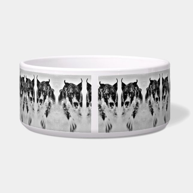 Pet Bowl-  Large (Back)