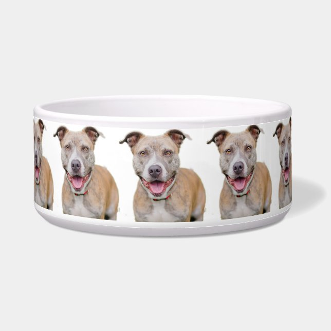 Pet Bowl/Pitbull (Front)