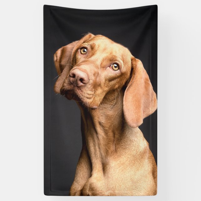 Pet Brown Beagle Dog Banner (Vertical)