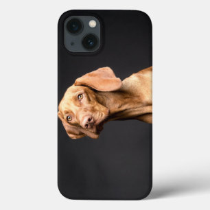 Pet Brown Beagle Dog iPhone 13 Case