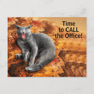Pet Business Cat Veterinary Appointment Reminder Postcard