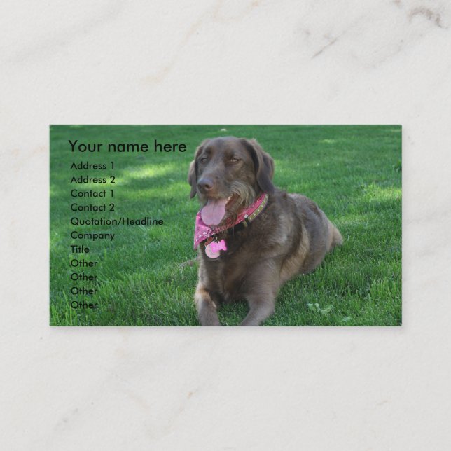 Pet care business card (Front)