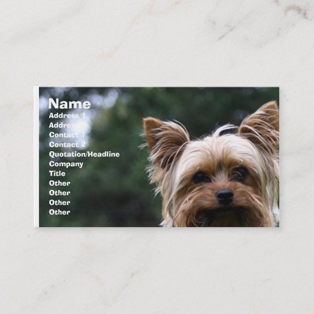 Pet care business card (Front)