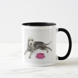 Pet care, health and nutrition for domestic pets mug