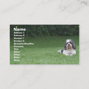 Pet care/pet sitting/yard care business card