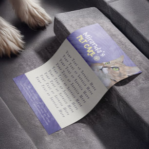 Pet Care Sitting Bathing Grooming Beauty Salon Cat Flyer