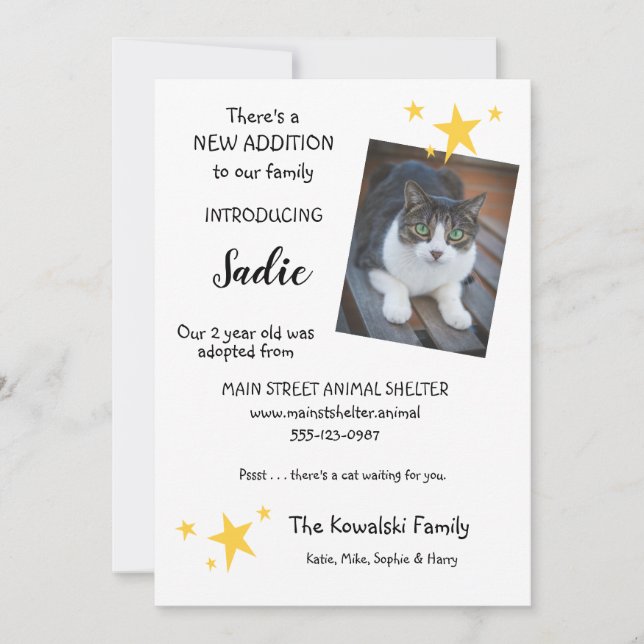 Pet Cat Adoption New Pet Announcement Flat Card (Front)