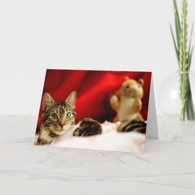 Pet Cat Christmas Card (Front)