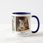 Pet Cat Dog 3 Photo