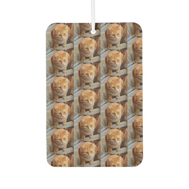 Pet Cat Dog Photo Personalise Custom Large  Car Air Freshener (Front)
