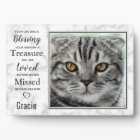 Pet Cat Memorial Pet Loss Sympathy Photo