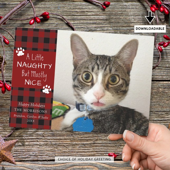 Pet Cat Naughty Nice Red Black Plaid Holiday Card (Creator Uploaded)