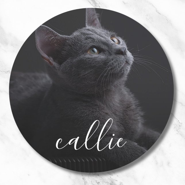 Pet Cat Photo Name Classic Round Sticker (Pet Photo Sticker Label)