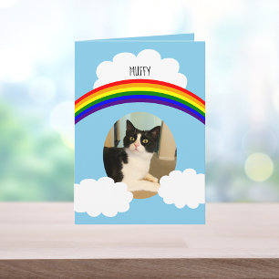 Pet Cat Rainbow Photo Sympathy Card
