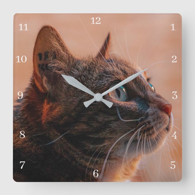 Pet Cat Square Wall Clock (Front)
