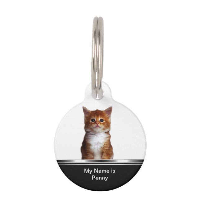 Pet Cat Tag Idenification (Front)