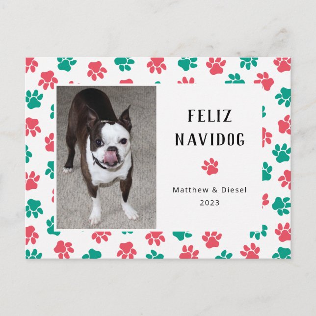 Pet Christmas Card Photo Funny Red Green (Front)