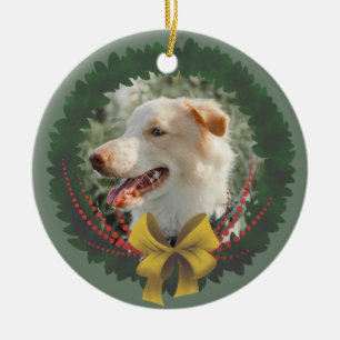 Pet Christmas Crown Ornament