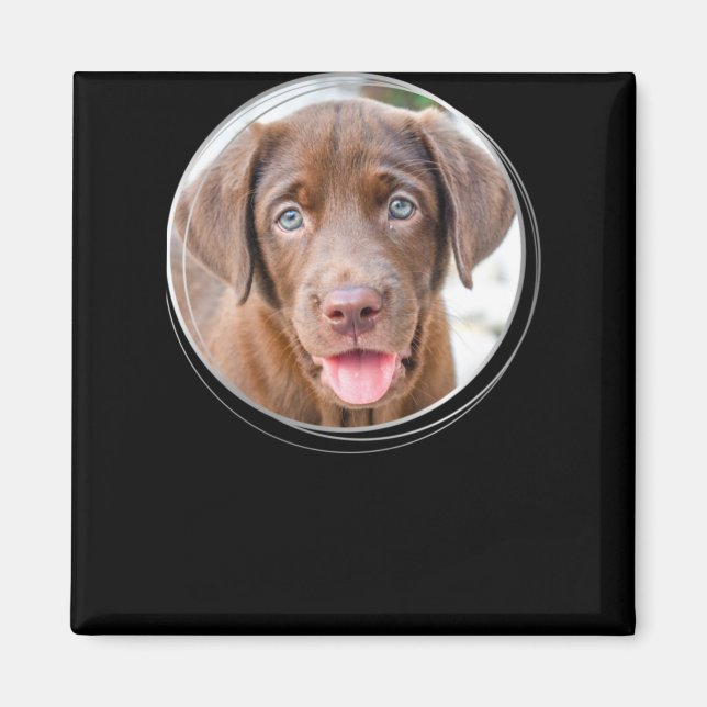 Pet Christmas D Dog Photo Holiday T Shirt  Magnet (Front)