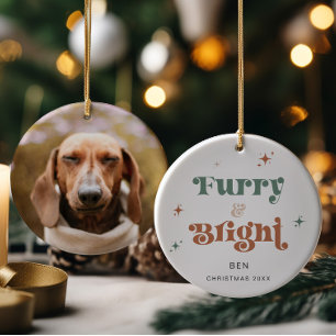 Pet Christmas Ornament Photo Dog Furry & Bright