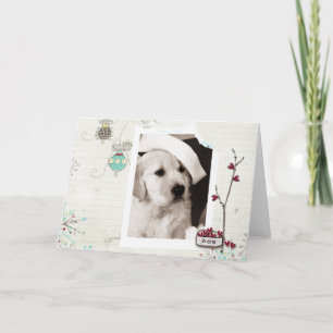 Pet Christmas Photo Card